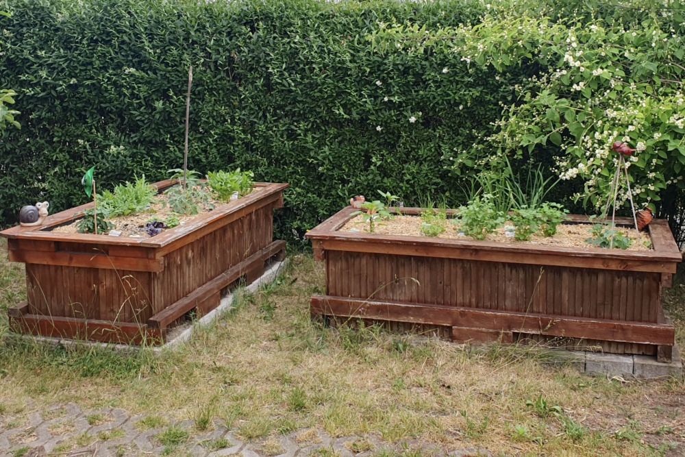 zwei bepflanzte Hochbeete in kleinem Garten