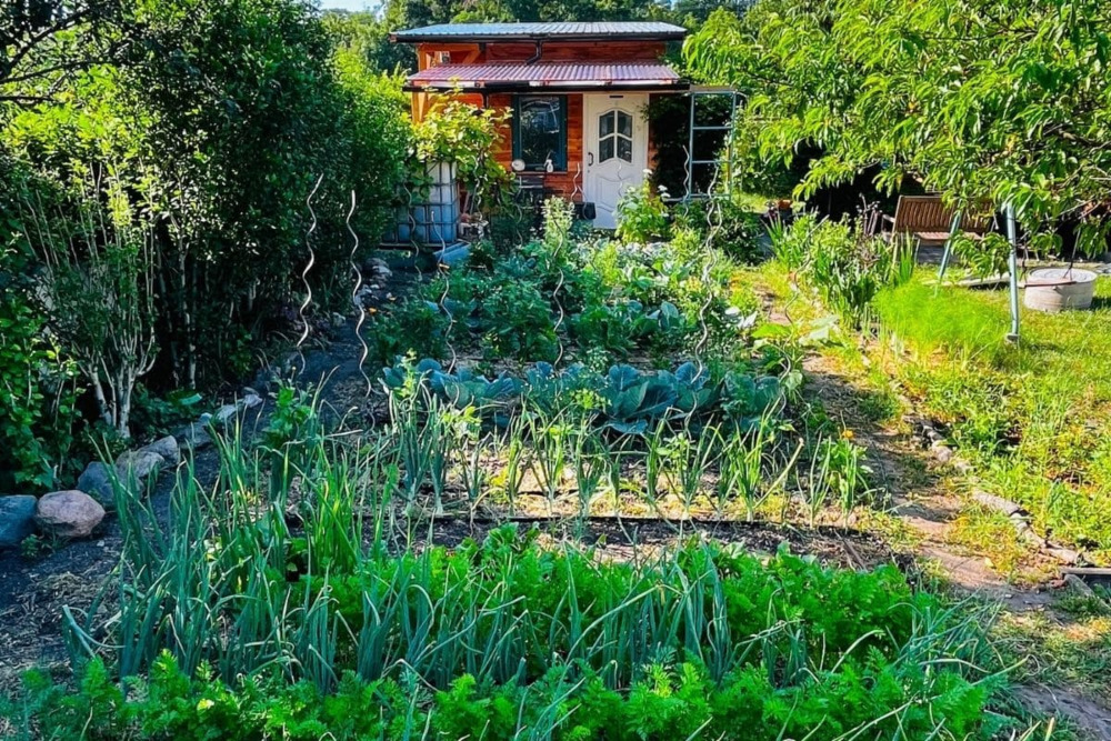 sch&ouml;ner, reich bepflanzter Garten mit Gartenlaube