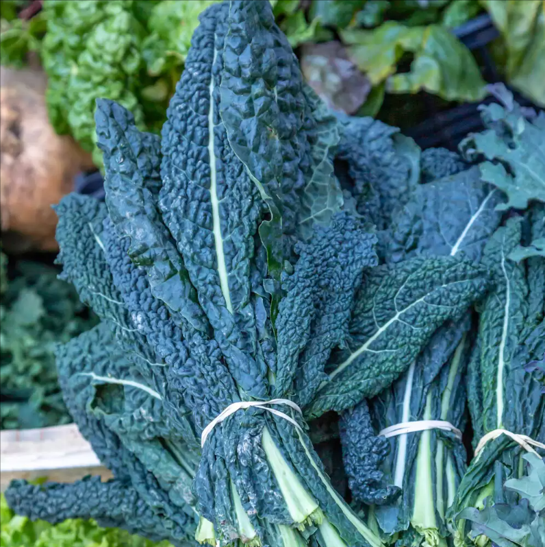 Palmkohl 'Black Magic'