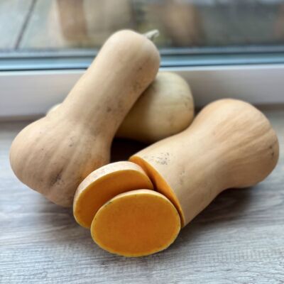 Butternutk&uuml;rbis 'Tivano F1'
