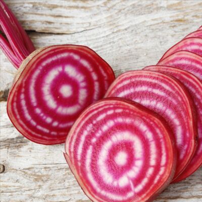 Bunte Bete Mix