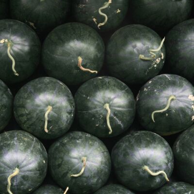 Mini-Wassermelone 'Little Darling F1'