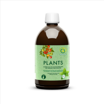 Pflanzenst&auml;rkung Plants