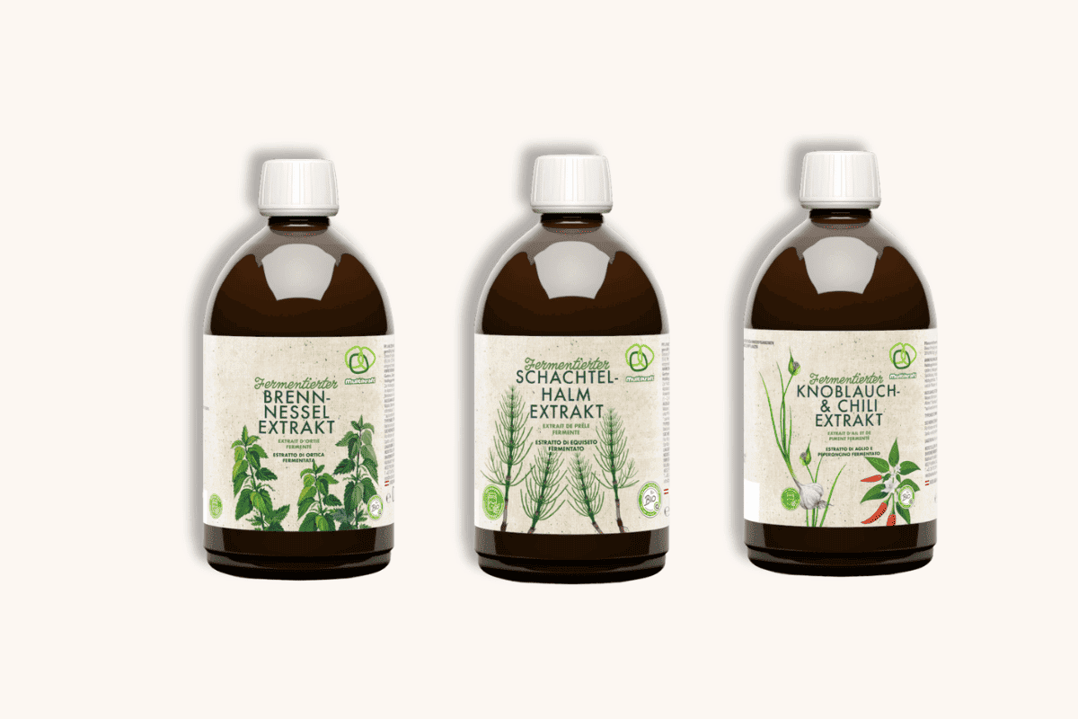 Fermentierte Pflanzenextrakte: Schachtelhalm & Co.&nbsp;