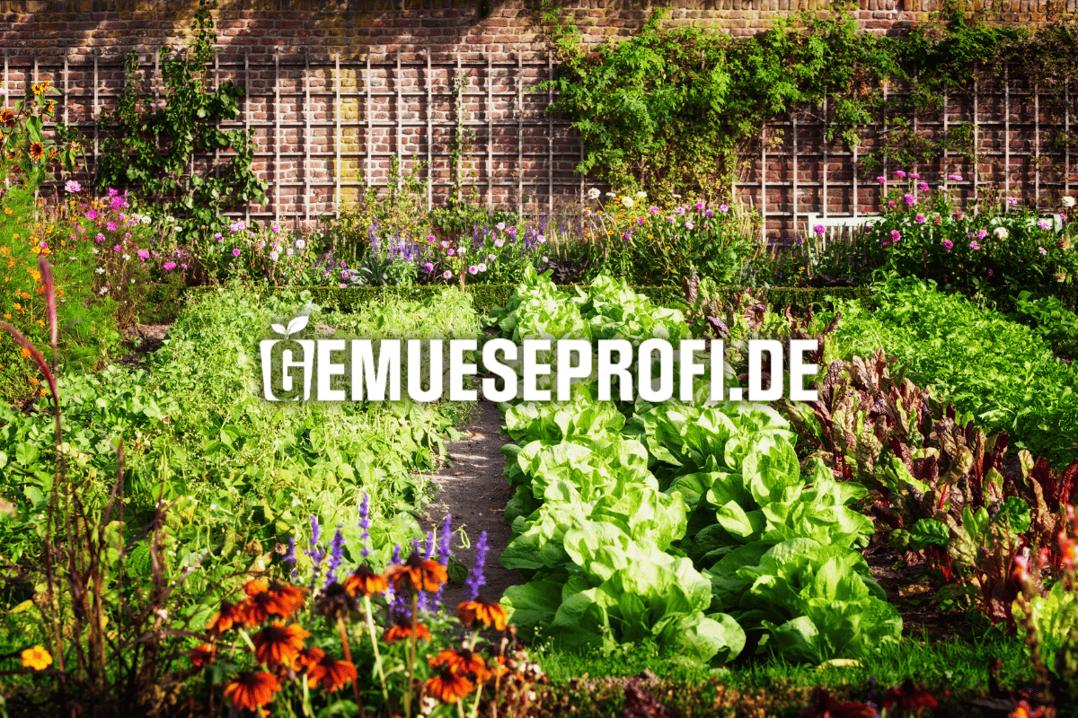 Der GemüseProfi Gartenzubehör Online Shop Der GemüseProfi Gartenzubehör Online Shop
