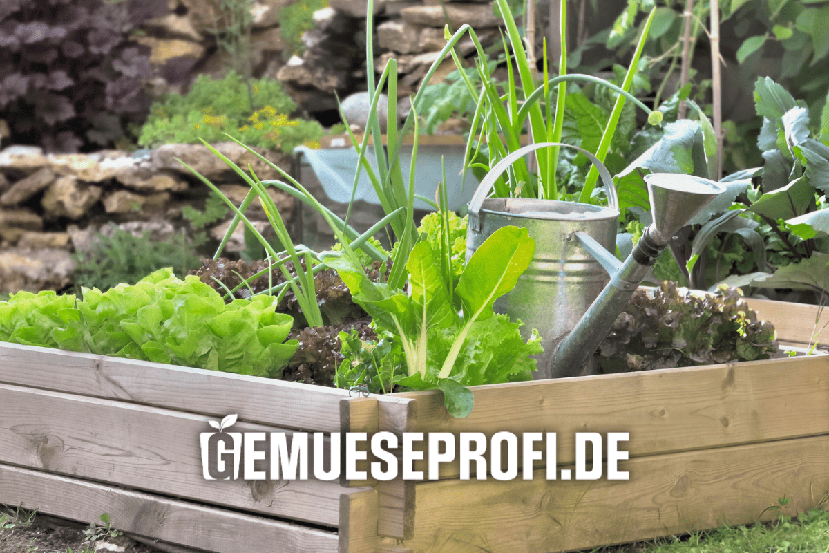 Pflanzenst&auml;rkungsmittel von Multikraft kaufen