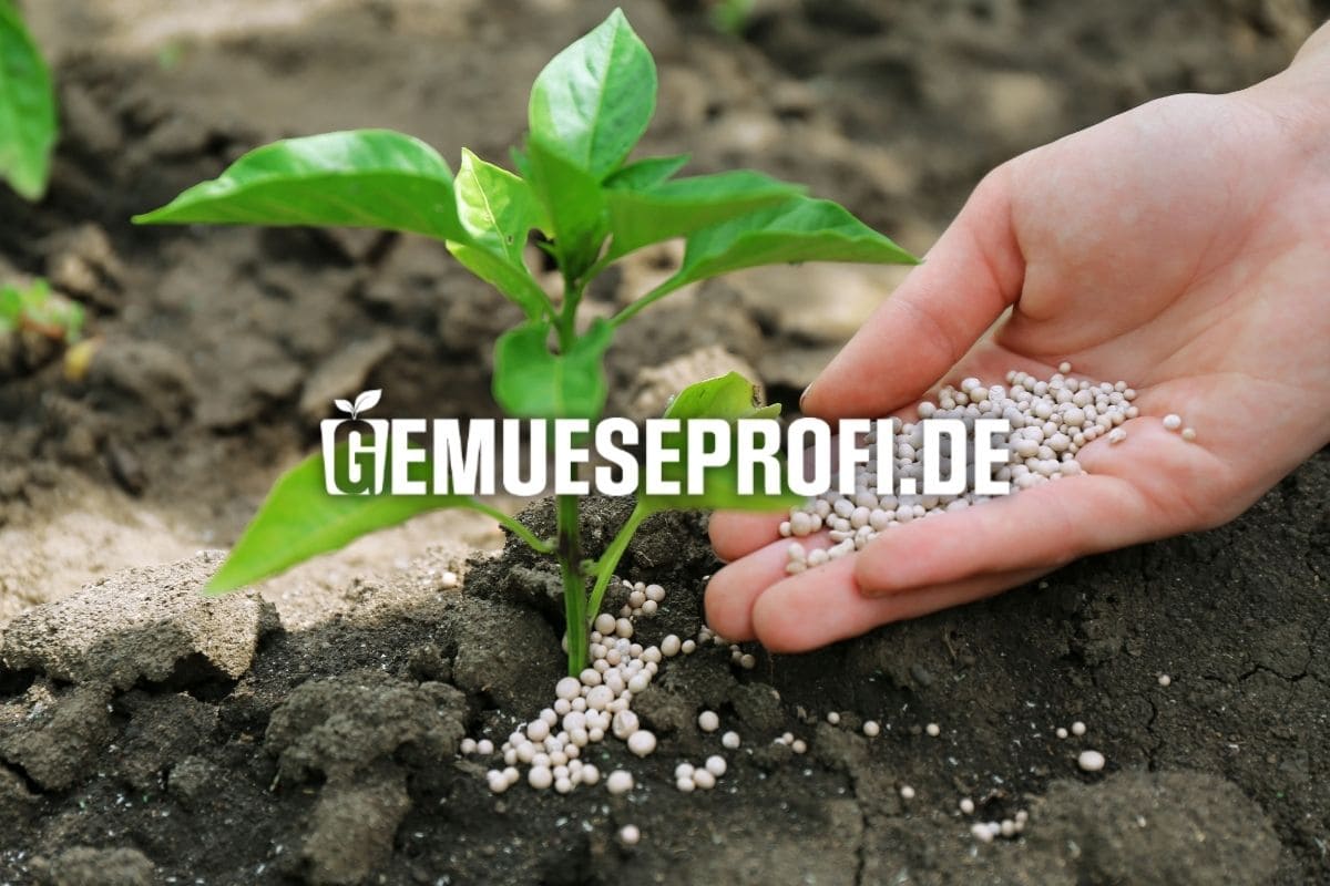 D&uuml;nger online kaufen &ndash; f&uuml;r Gem&uuml;se, Kr&auml;uter, Beeren & Obstb&auml;ume