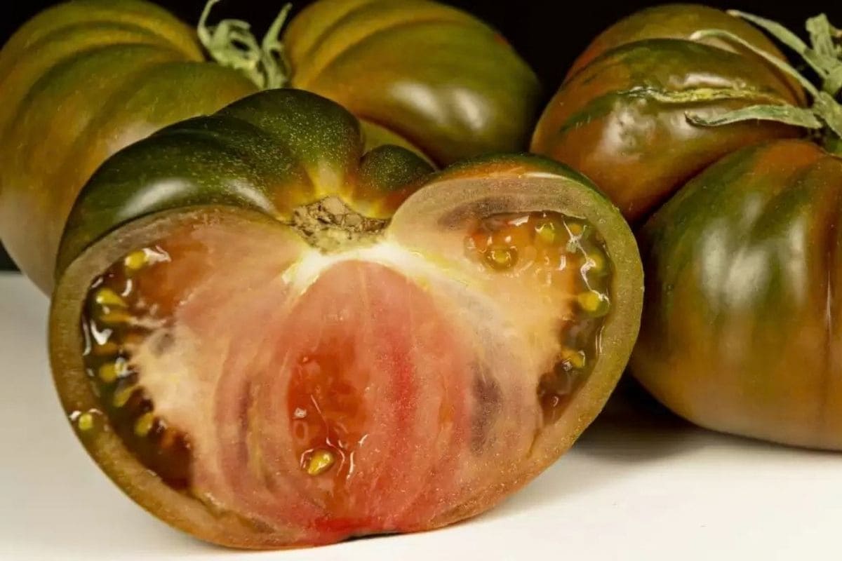 Samenfeste Tomatensorten – Saatgut selbst gewinnen Samenfeste Tomatensorten – Saatgut selbst gewinnen
