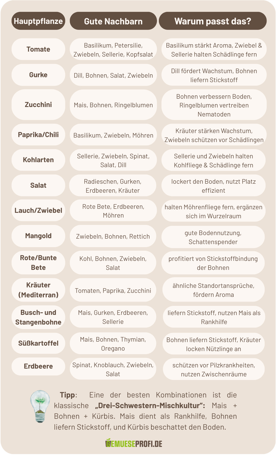 tabellarische Darstellung von passenden Beetgemeinschaften mit Erkl&auml;rung