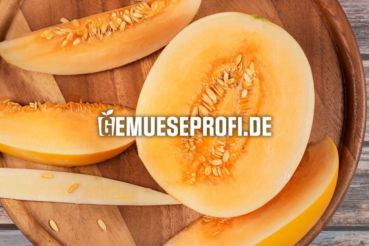 Melonen richtig ernten